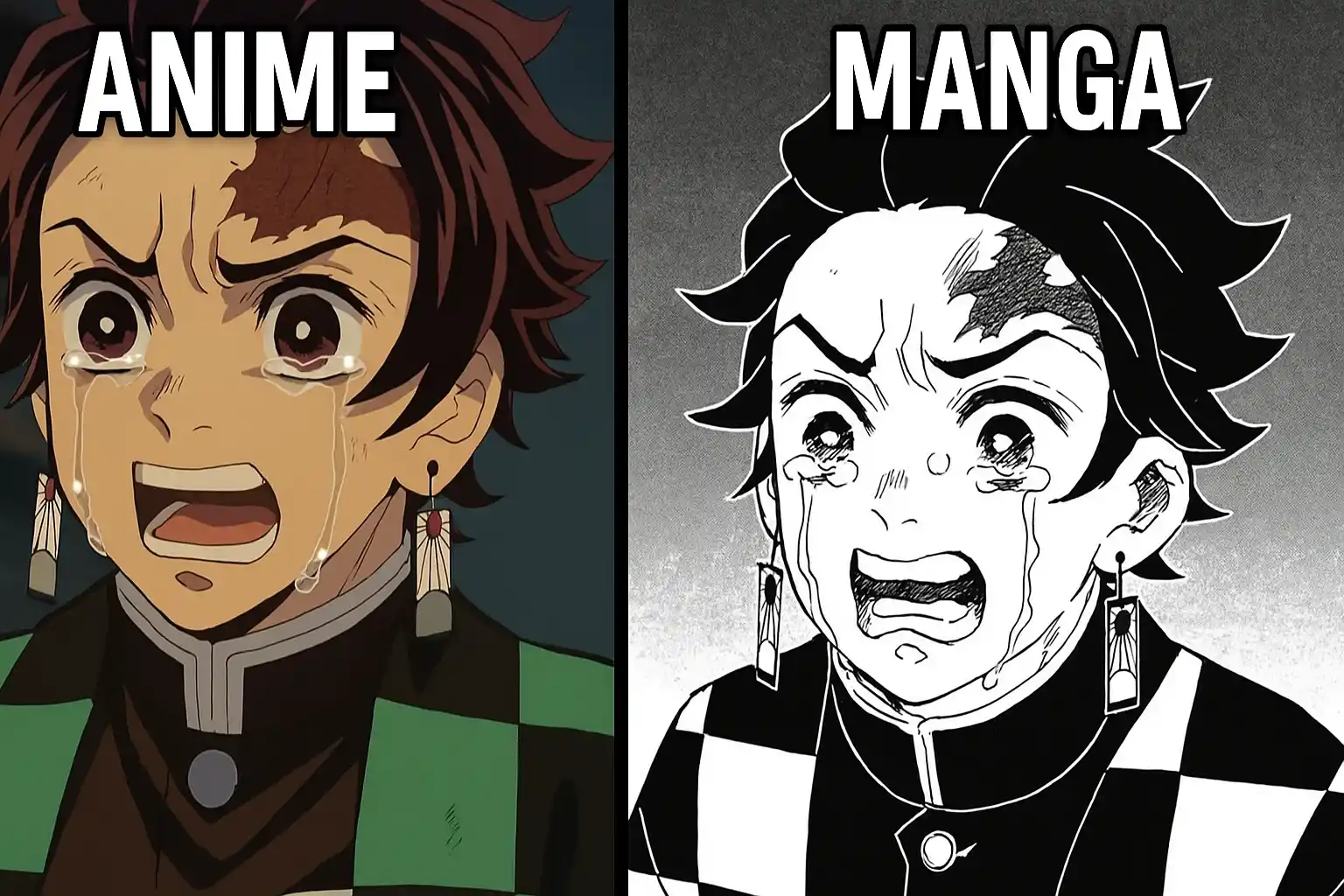 Demon Slayer Anime vs Manga – Visuals, Emotions, and Adaptation Compared