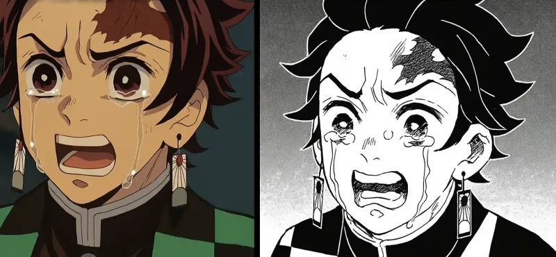 Demon Slayer Anime vs Manga – Visuals, Emotions, and Adaptation Compared